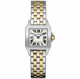 Cartier Santos Demoiselle Women's Watch W25067Z6